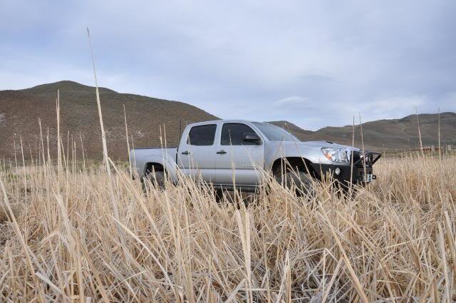Truck048-1_f9305e994dfc1df8ac4149c9f567bcc39b6d4172.jpg