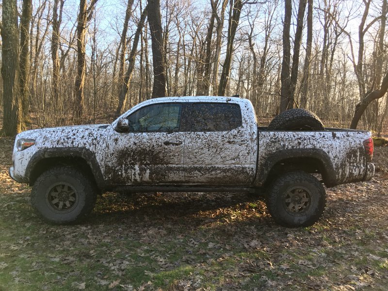 Truck1.jpg