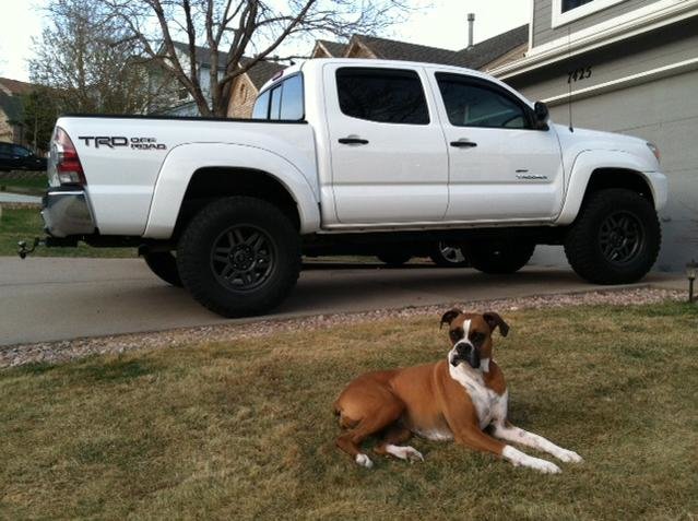 truck1.jpg