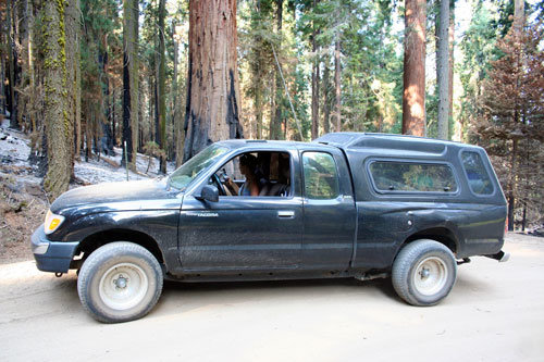 truck2.jpg