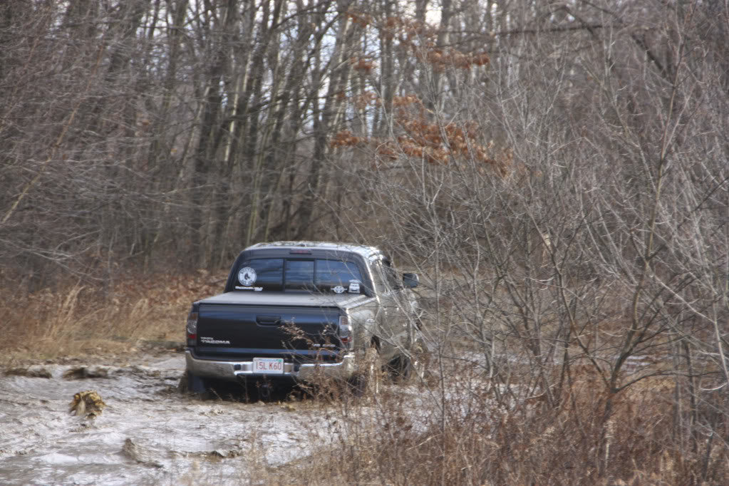 Truck31_92a5397d8075c078e69b2f64981ab11eb5344b96.jpg
