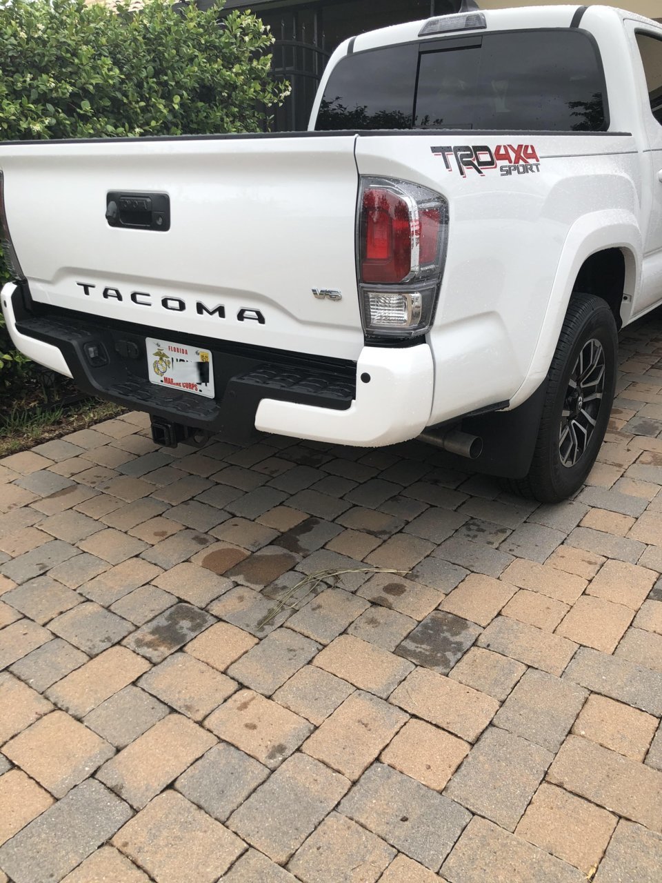 truck4.jpg