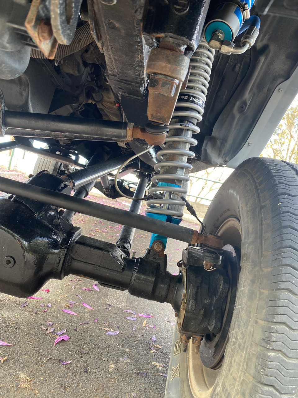 truck4.jpg