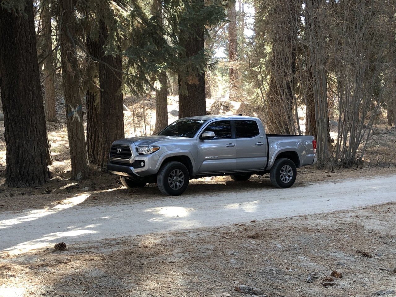 truck5.jpg