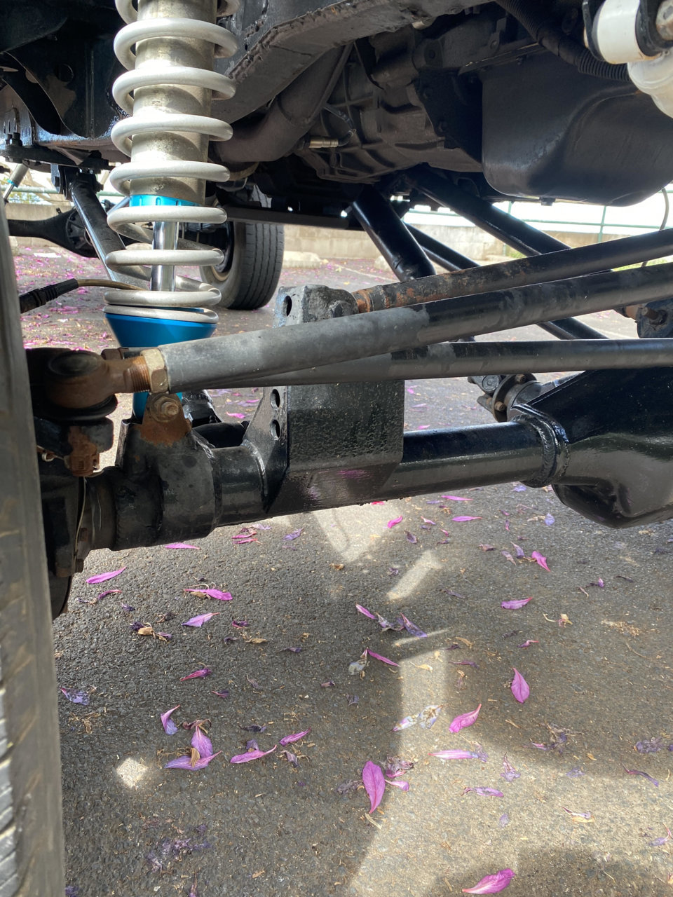 truck5.jpg