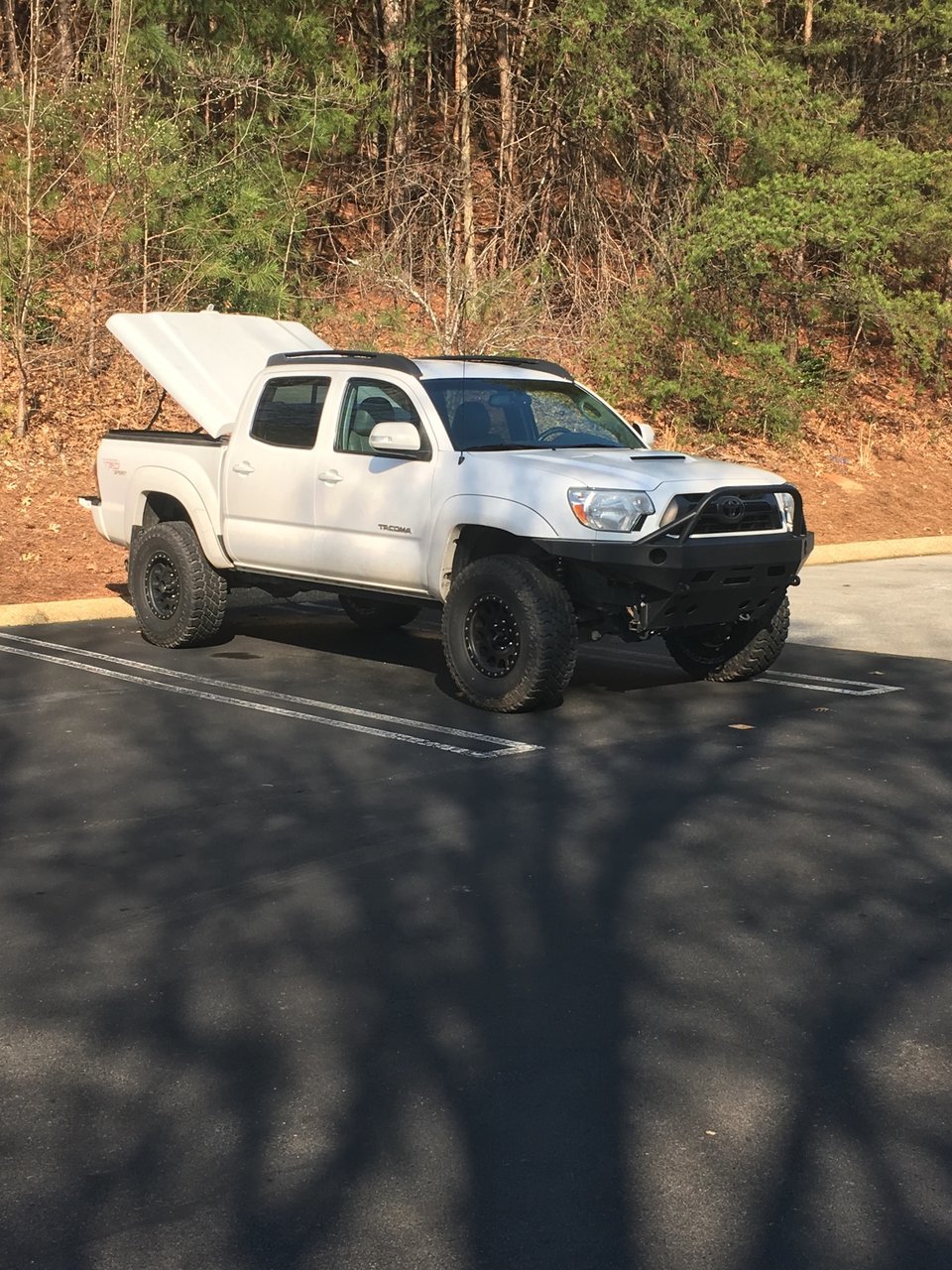 truck650lbsprings.jpg