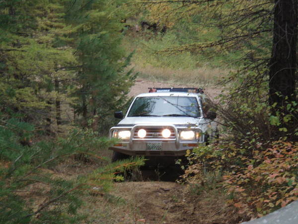Truck_321_cf68844037969491f36f5d53b9e2fc3cff64b1d9.jpg