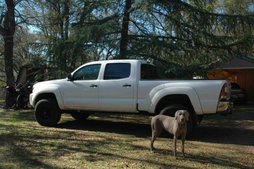 truck_acce48641751c506044728bf5369bcf082b80e55.jpg