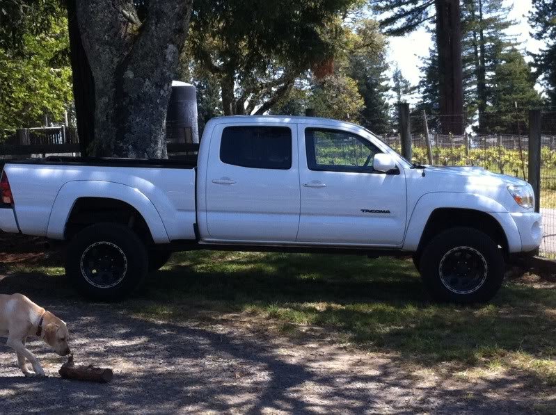 truck_eed36e73c1963e9965eb6c3a1ed72c1c0b1e8021.jpg