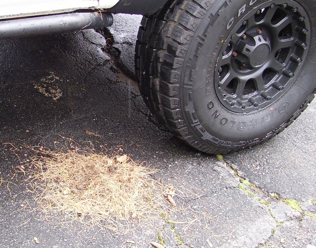 truck_needles.jpg