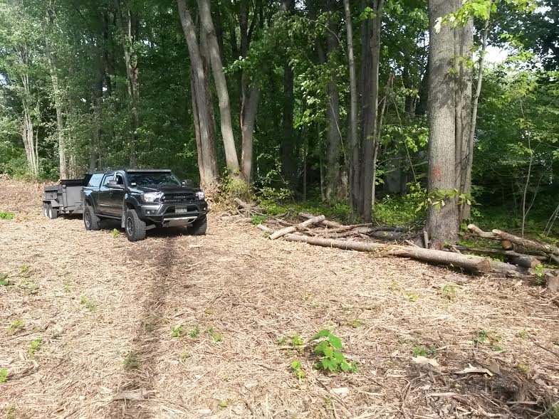 truck_wood_1.jpg