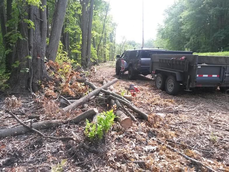 truck_wood_2.jpg