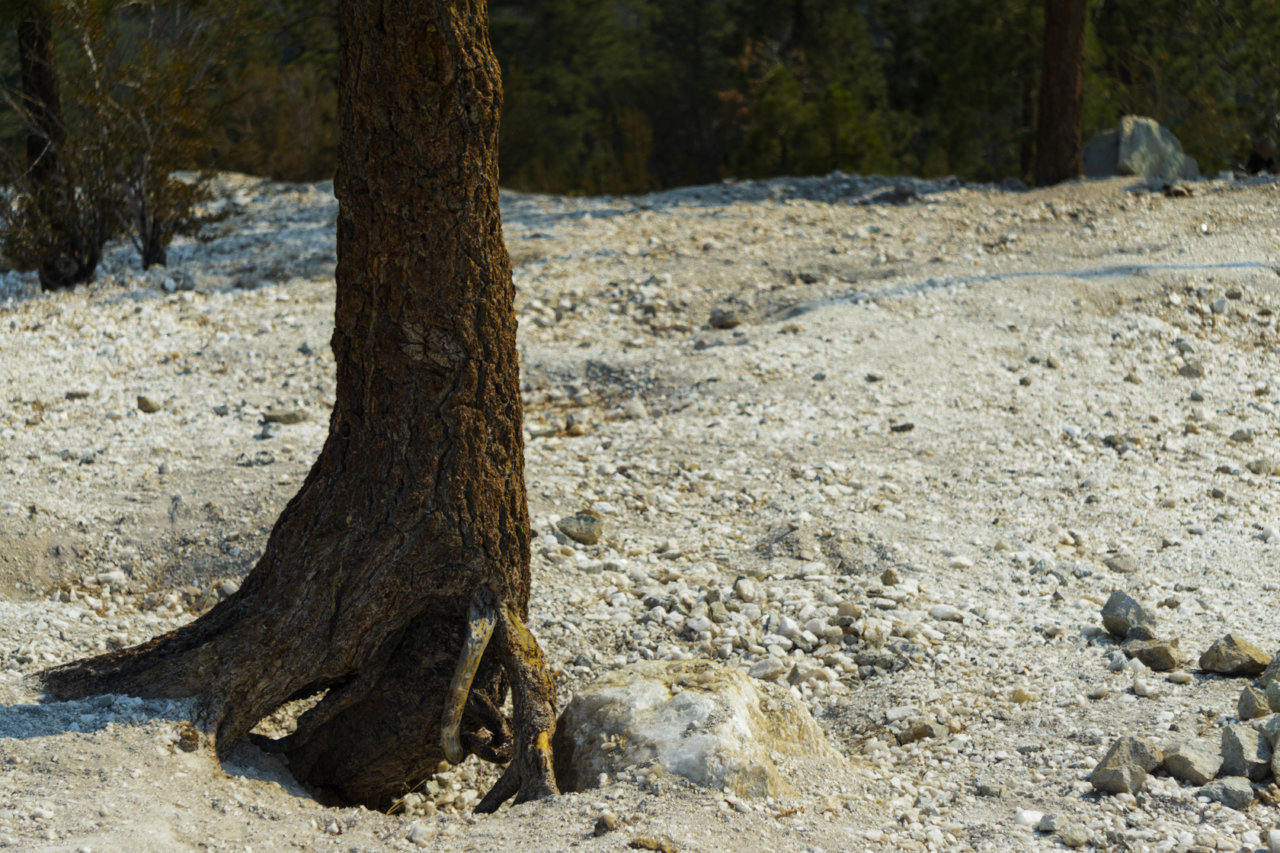 Truckee-BRD_09.21-29.jpg