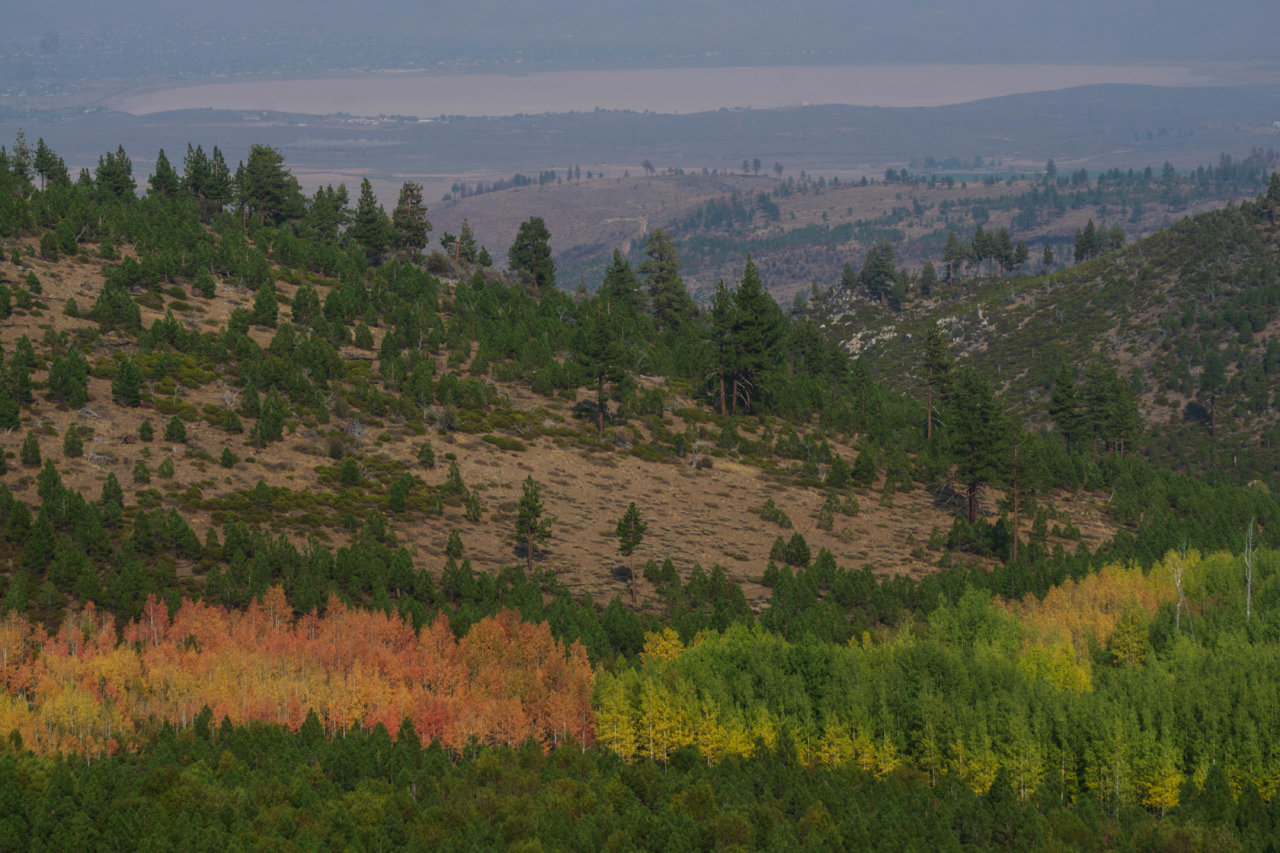 Truckee-BRD_09.21-32.jpg
