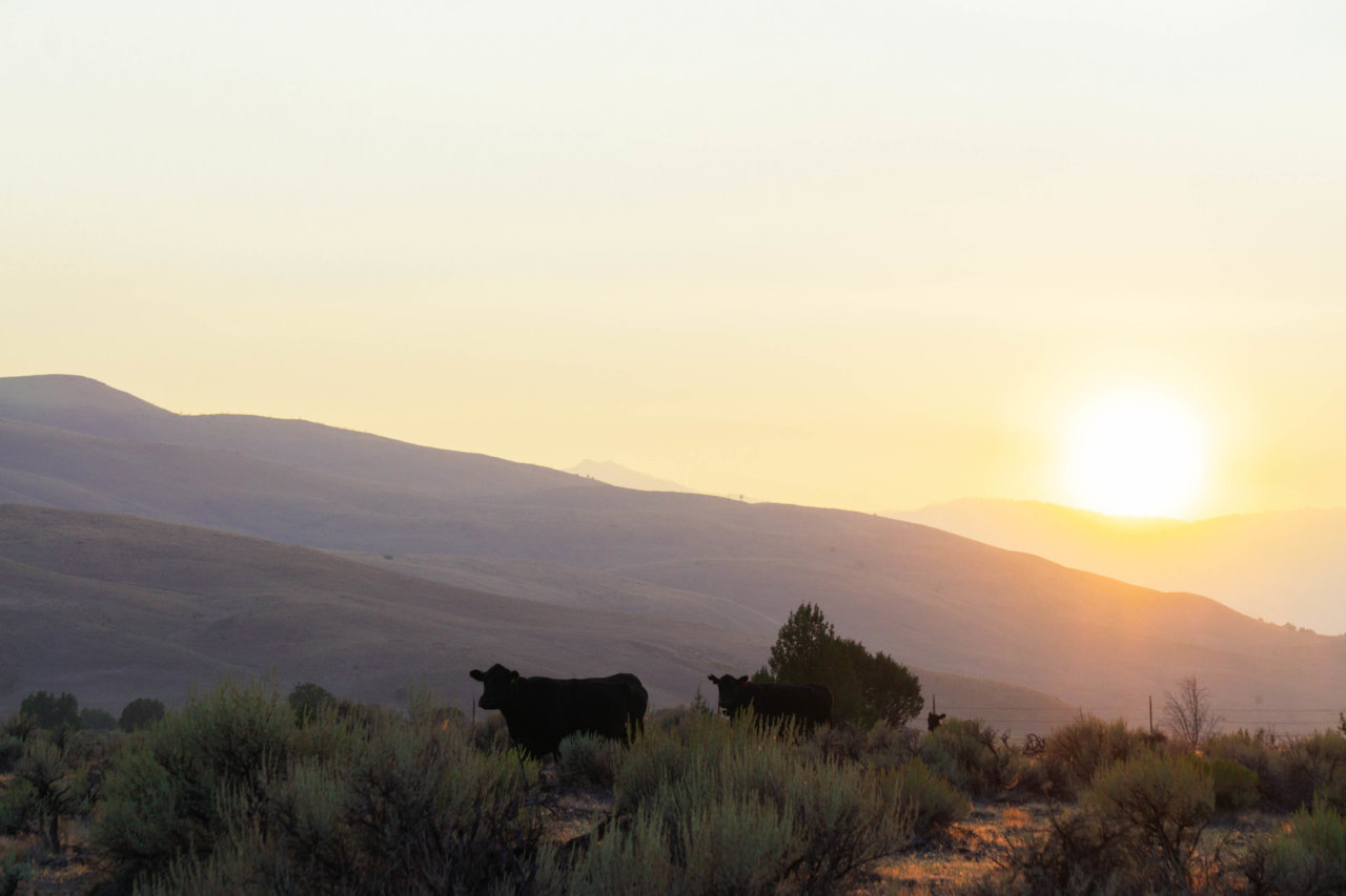 Truckee-BRD_09.21-36.jpg