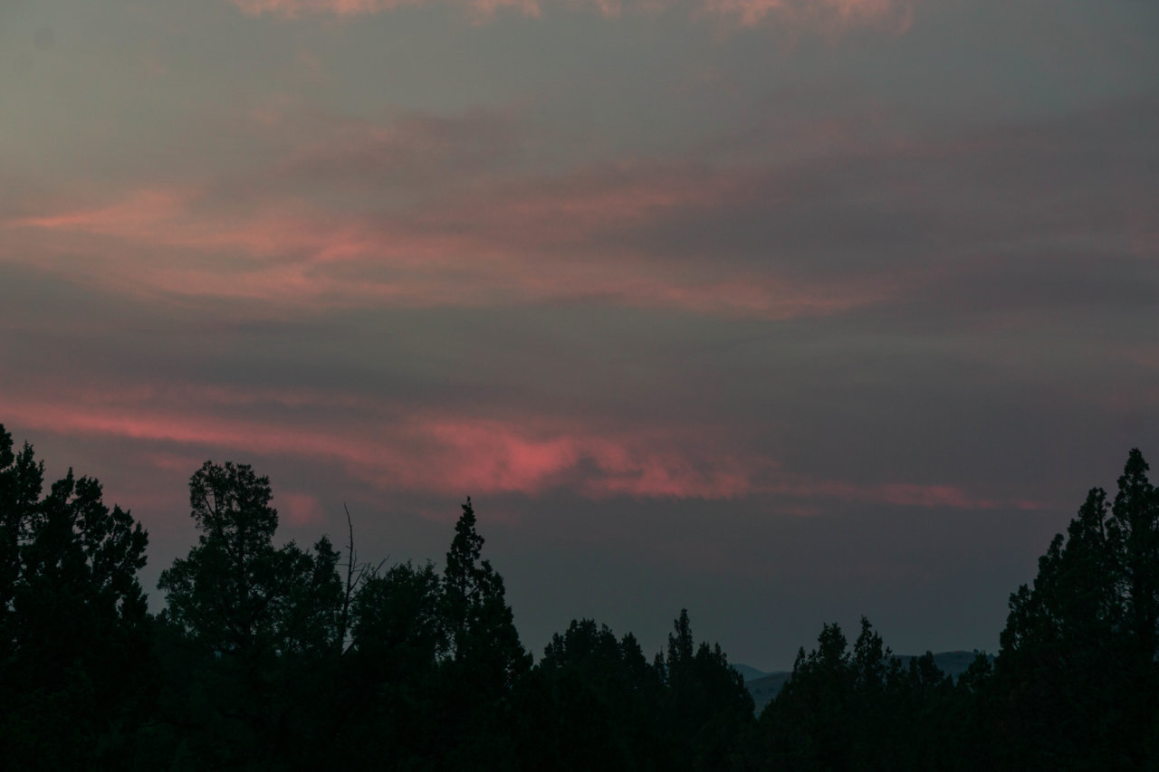 Truckee-BRD_09.21-44-2.jpg