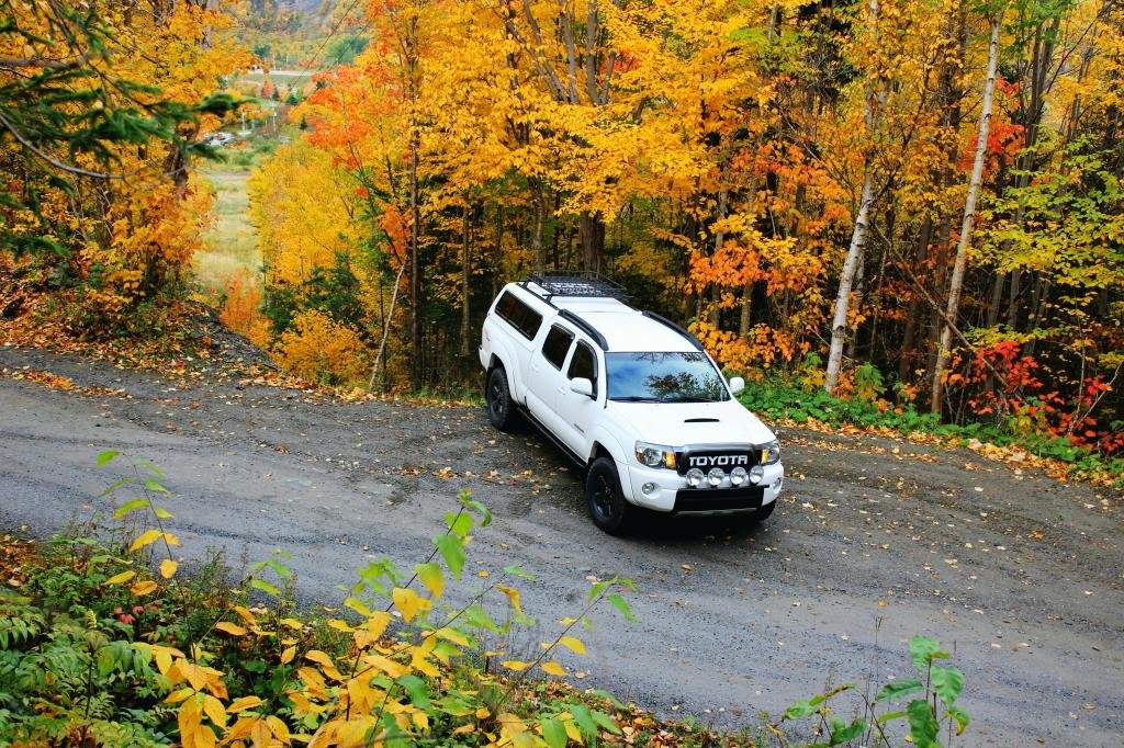 truckinfall2_1a48aa4564e126ad7eab7a21829296d4c6787897.jpg