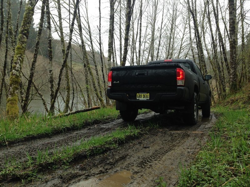 truckkk.jpg