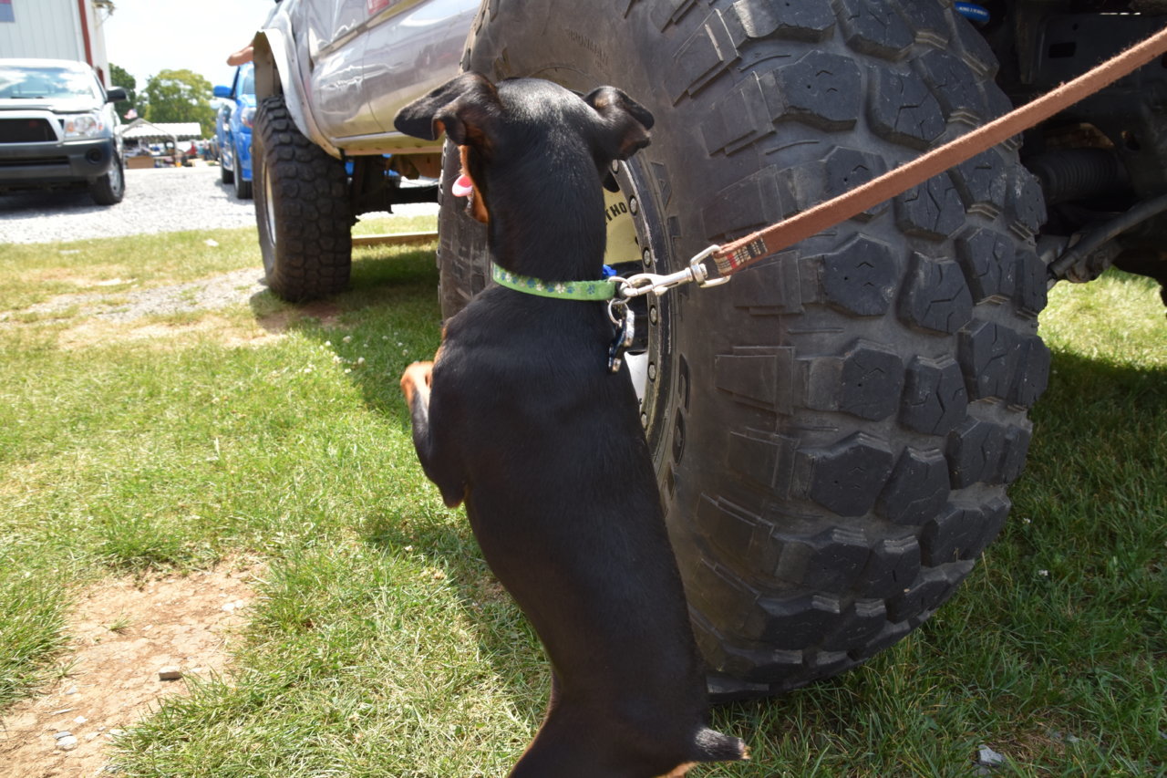 TruckNationals2019Day3 947.jpg