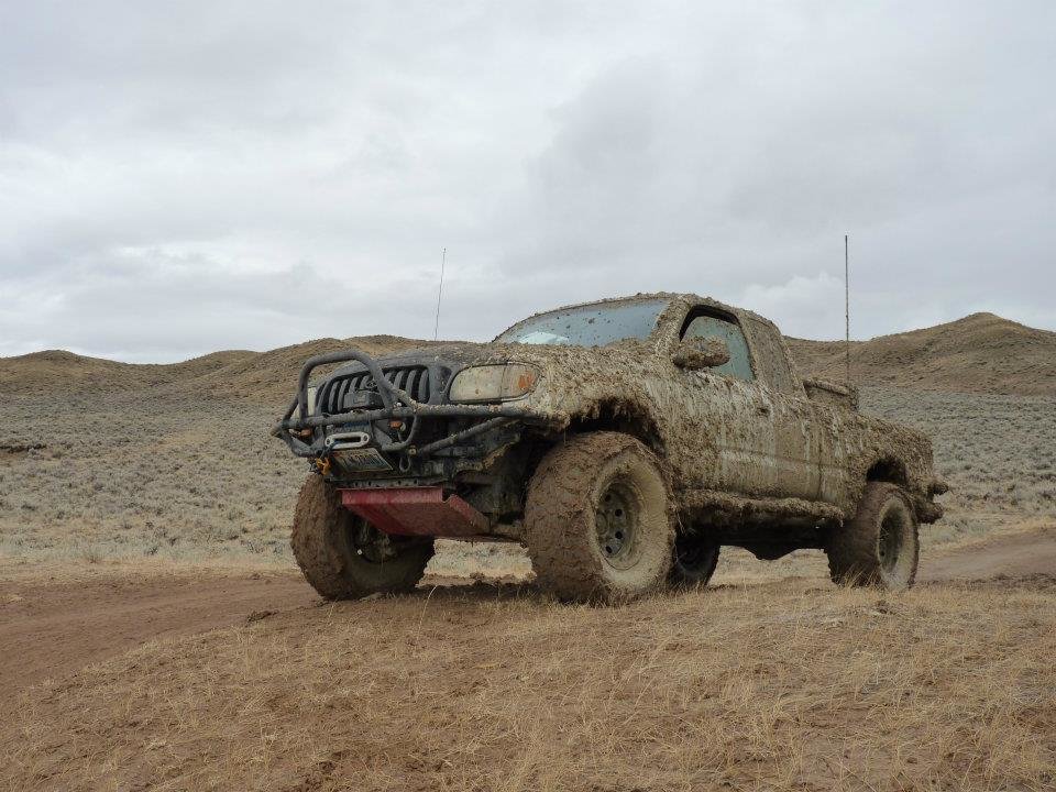 truckofthemonthmay_1745e89384c970f1ed4ae3360eda6fedc17ffb19.jpg