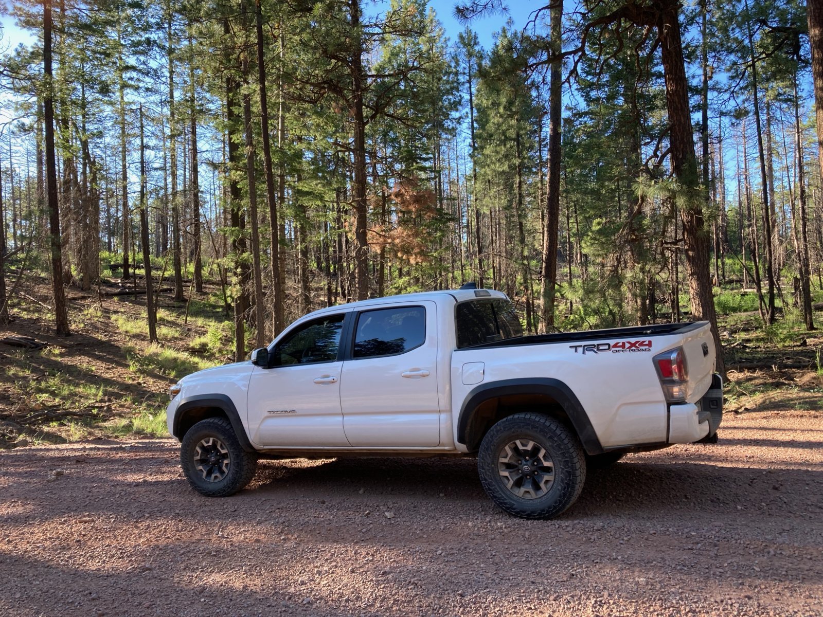 TruckOnRoad.jpg