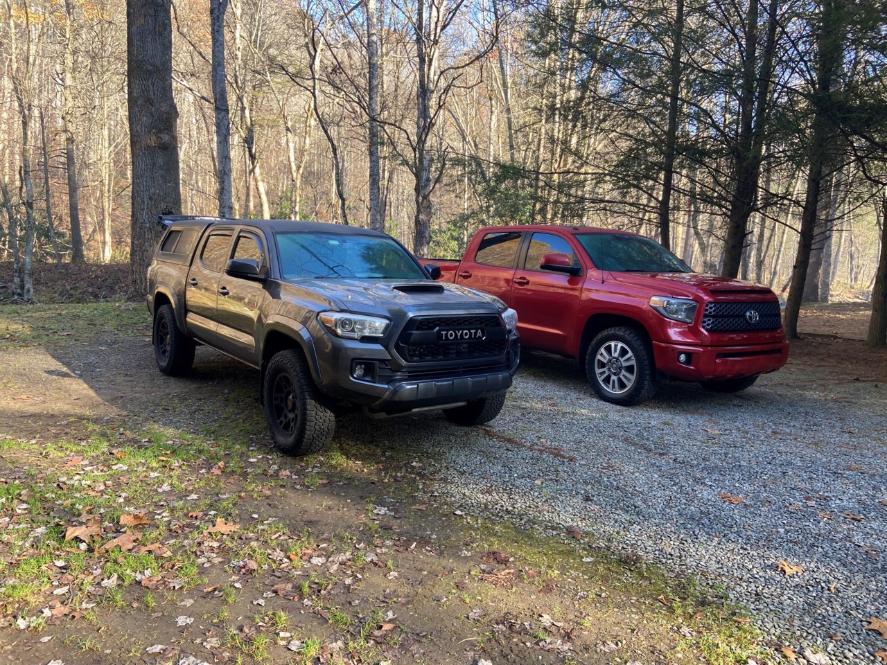 TRUCKS 1.jpg
