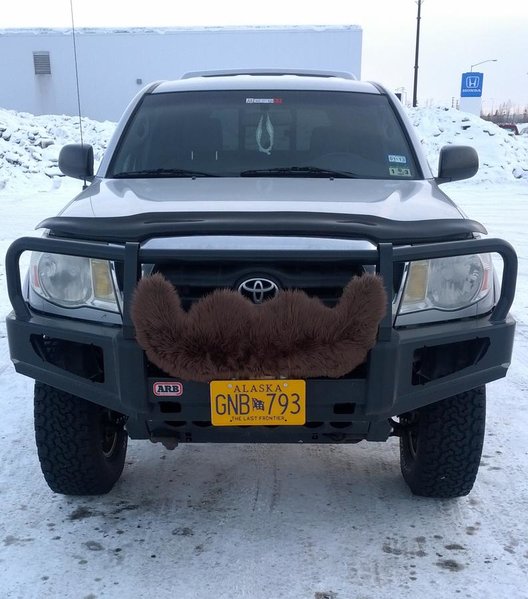 Truckstache.jpg