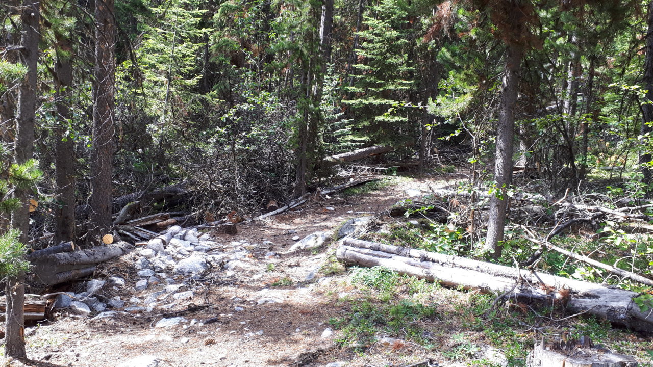trucktrail.jpg