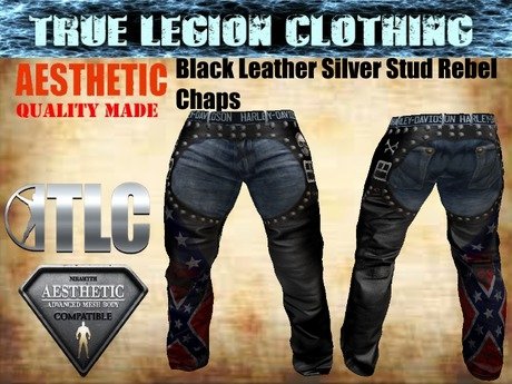 True_Legion_Silver_Stud_Rebel_Biker_Chaps_(_Aesthetic_).jpg