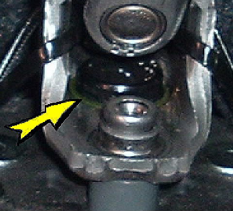 trussed_bb97b44fbca7a3de96377a6ba3b44ea02608d069.jpg