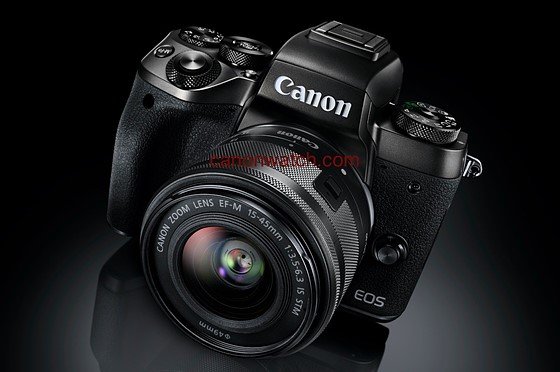 TS560x560.jpg