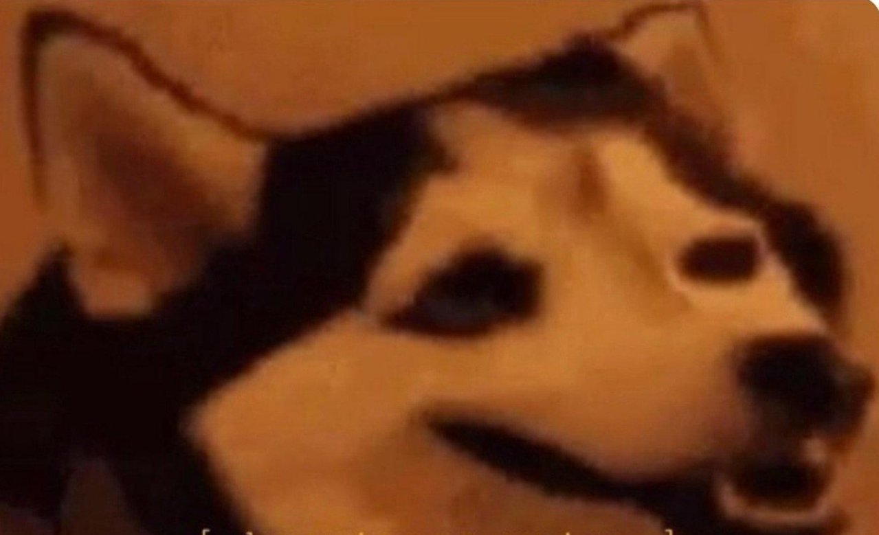 tskhd7qn6sh21~2.jpg