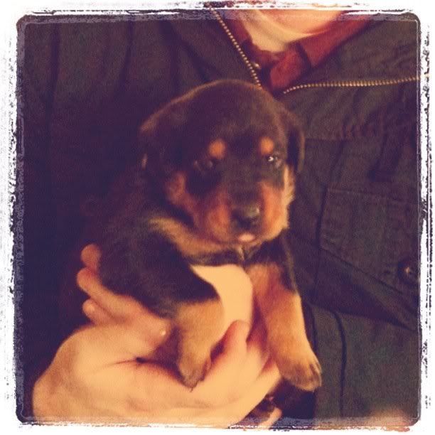 Tucker1_d8f41c7dd0139d65c4df21f949151000f66d999a.jpg