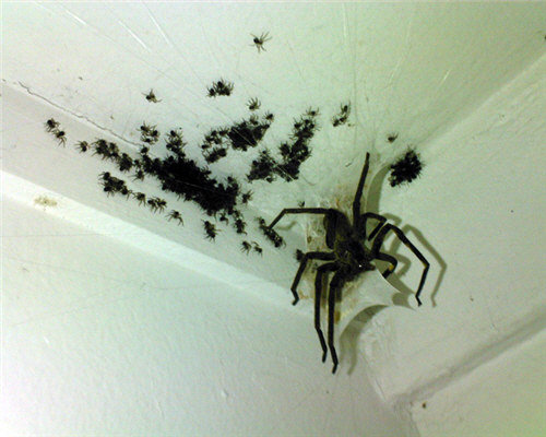 tumblr_m4pviiEQff1r6tv0ro1_500_245c1d7eab8cd6557ded66370d6e0e8a0c5bd7c6.jpg