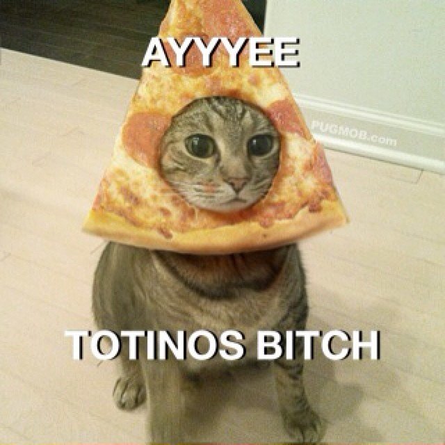 tumblr_mz7jr3xYZ21s818xzo1_640.jpg