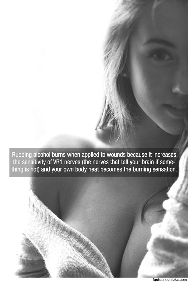 tumblr_nczs8gUaXV1r3tp7bo1_1280_6456005975333fe921e29cf1241255691015b7d1.jpg