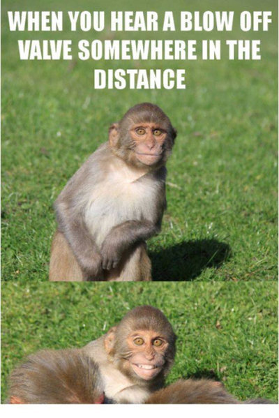tumblr_nn9jthJhsB1qfzt55o1_500.jpg