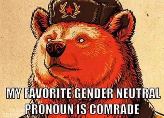 tumblr_ofbb8sqYg01vtwv2oo1_540.jpg