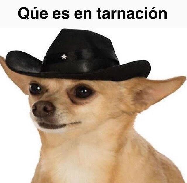 tumblr_olp0j6NbZ41sav404o1_640.jpg