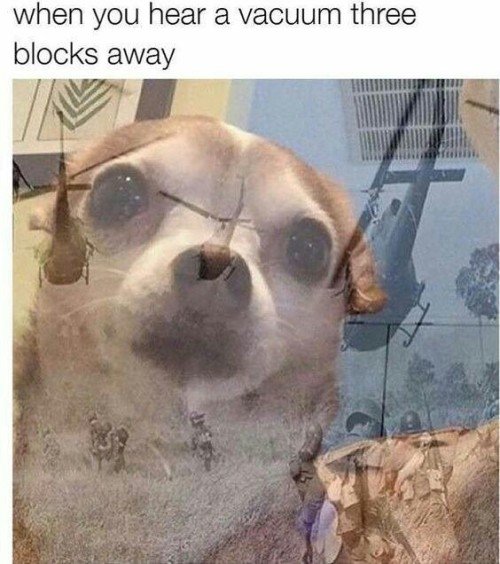 tumblr_ossndlM2x61vi3bo0o1_500.jpg