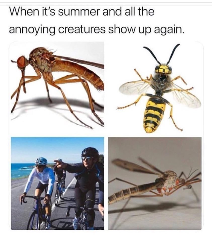 tumblr_pa3k6ru0AA1trn633o1_1280.jpg