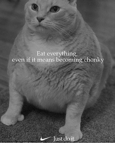 tumblr_pet9dgU9sY1vtts30o1_400.jpg