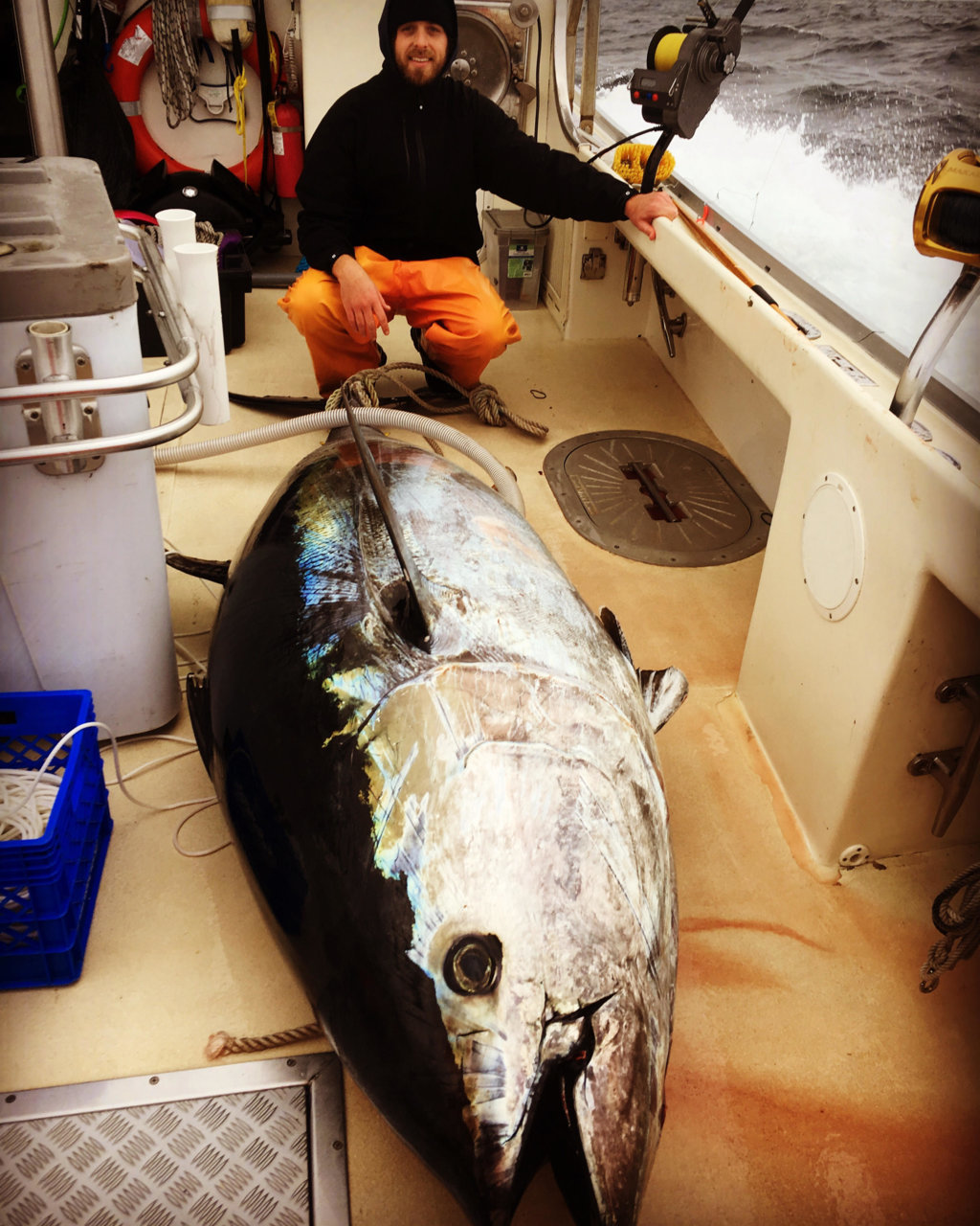 TUNA.jpg
