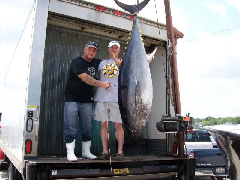 tuna791-1_92f74a89a7a8456d73e2fe0f98e0304ecd73b1f0.jpg