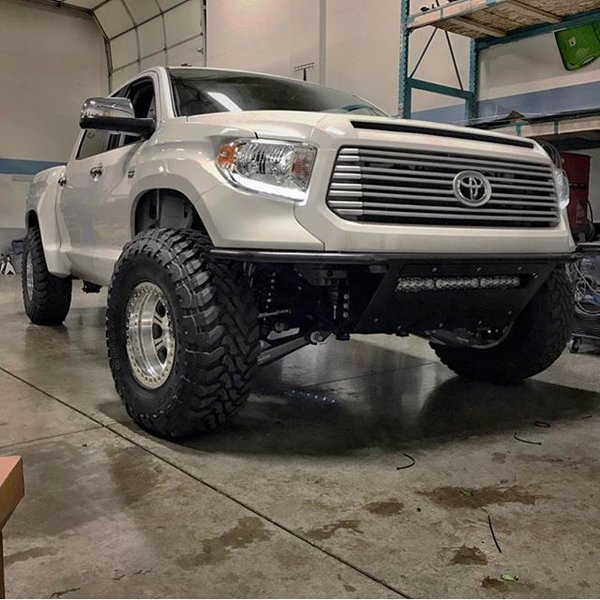 tundra.jpg