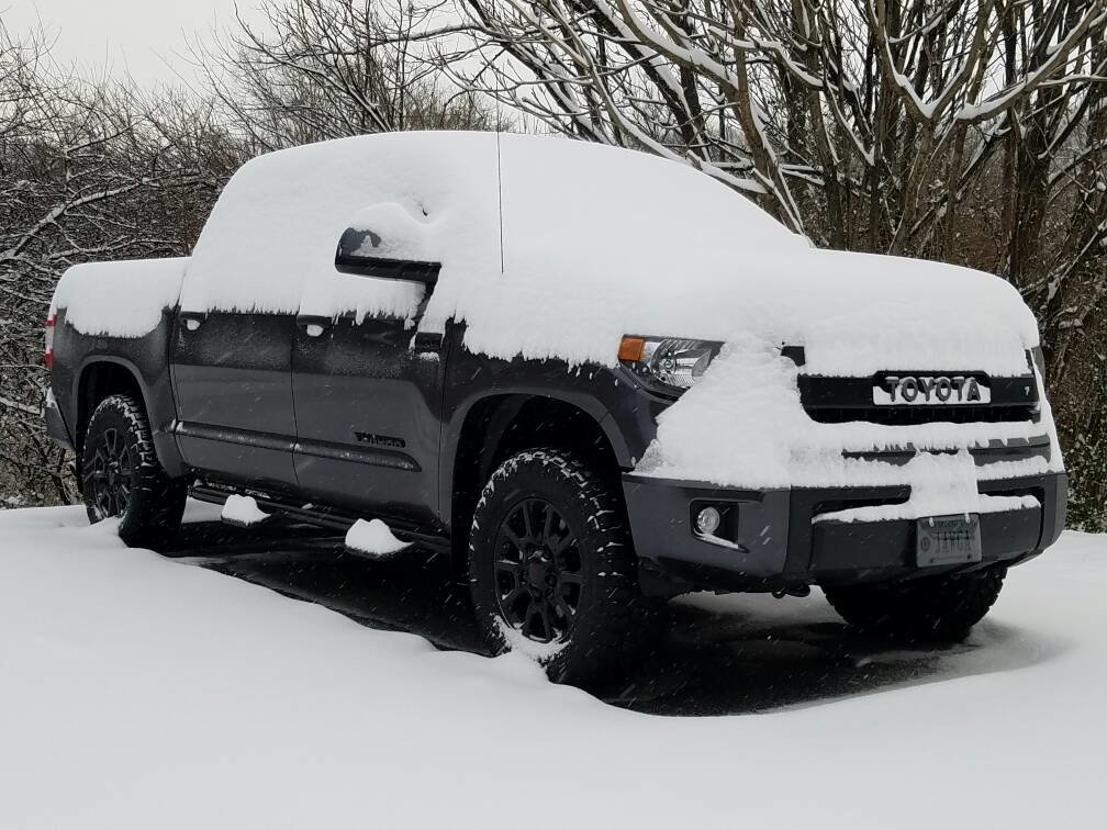 tundra.jpg