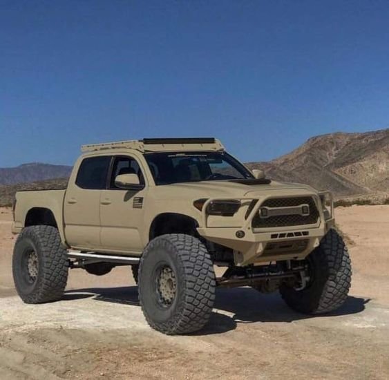 turd gen.jpg