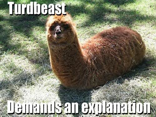 turdbeast_d62bfa2a20248f14b8825aba66b906407614f467.jpg