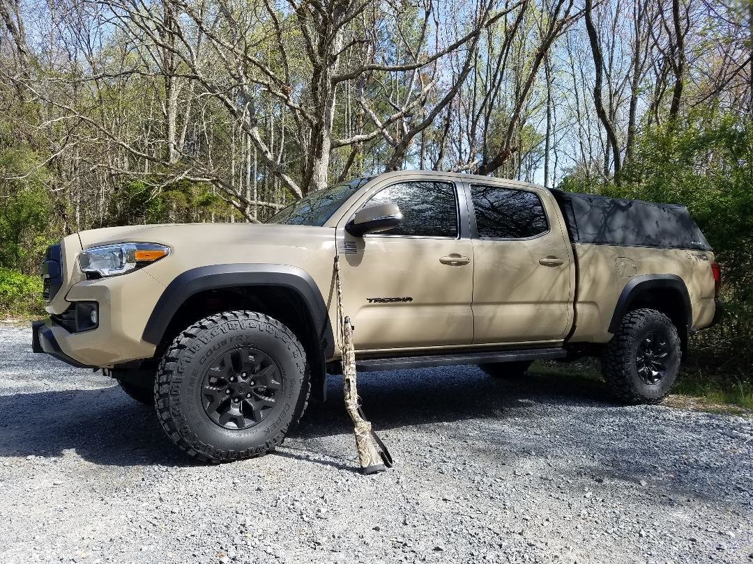 turkey hunt.jpg