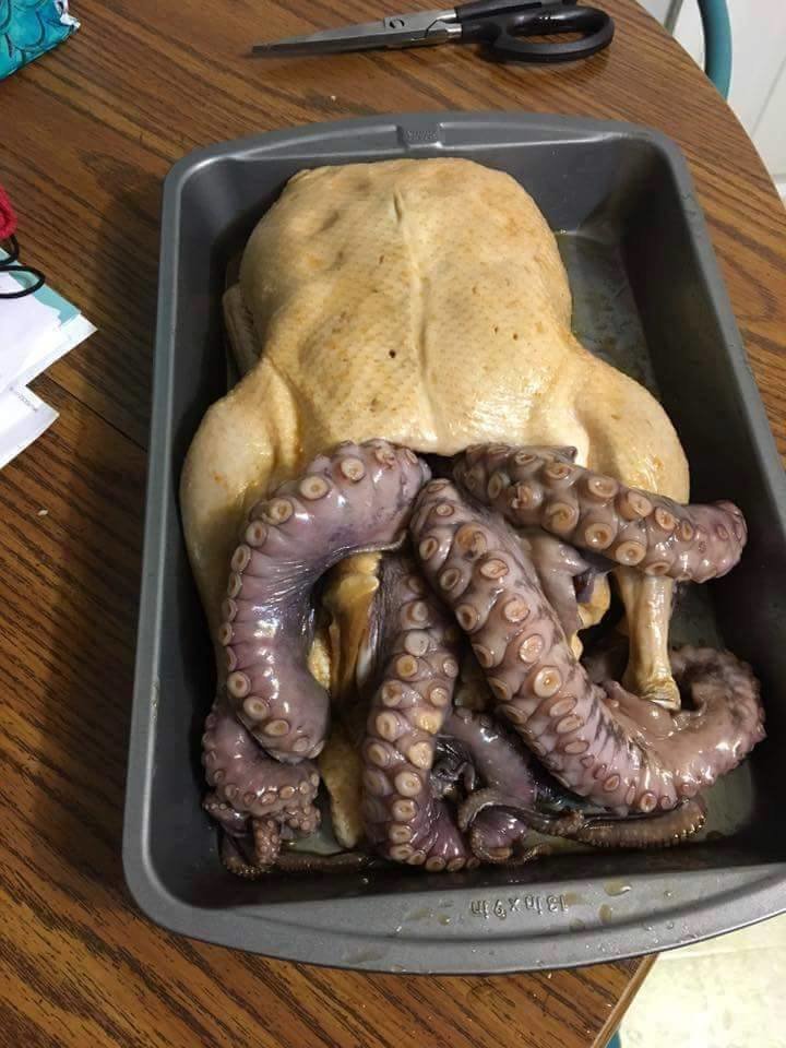 turkey-octopus-1474766388.jpg